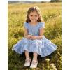 Arshiner Toddler Girls Dress Ruffle Sleeveless Tiered Swing Twirly Dresses Cute Summer Beach Sundress with Pocket for 1-6T(Blue Floral)