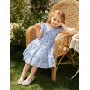 Arshiner Toddler Girls Dress Ruffle Sleeveless Tiered Swing Twirly Dresses Cute Summer Beach Sundress with Pocket for 1-6T(Blue Floral)