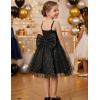 Arshiner Toddler Girls Tulle Dress Bowknot Tutu Birthday Princess Embroidery Dresses Formal Photoshoot Summer Outfit 2-8T(Black Star)