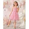 Arshiner Toddler Girls Tulle Dress Bowknot Tutu Birthday Princess Embroidery Dresses Formal Photoshoot Summer Outfit 2-8T(Pink Confetti)