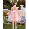 Arshiner Toddler Girls Tulle Dress Bowknot Tutu Birthday Princess Embroidery Dresses Formal Photoshoot Summer Outfit 2-8T(Pink Floral)
