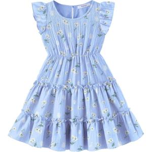 Arshiner Toddler Girls Dress Ruffle Sleeveless Tiered Swing Twirly Dresses Cute Summer Beach Sundress with Pocket for 1-6T(Blue Floral)