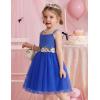 Arshiner Toddler Tulle Dress Summer Spaghetti Strap Party Tutu Flower Girl Dresses with Belt 3-8Y(Sky Blue)