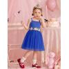 Arshiner Toddler Tulle Dress Summer Spaghetti Strap Party Tutu Flower Girl Dresses with Belt 3-8Y(Sky Blue)