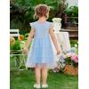 Arshiner Toddler Tutu Dress Girls Tulle Dresses Ruffle Tiered Swing Twirly Summer Sundress(Light Blue)