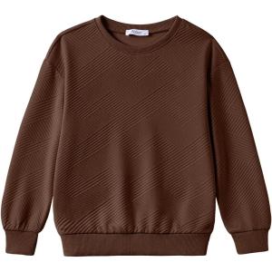 Arshiner Boys Sweatshirts Long Sleeve Crewneck Pullover Shirt Kids Fashion Fall Winter Sweater(Brown)