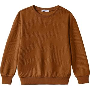 Arshiner Boys Sweatshirts Long Sleeve Crewneck Pullover Shirt Kids Fashion Fall Winter Sweater(Light Brown)